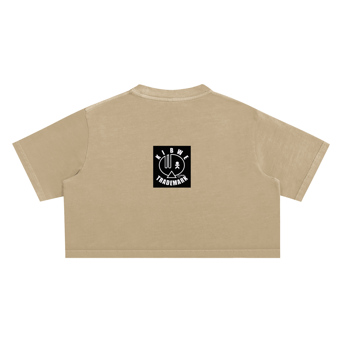 Snow Washed Crop Top